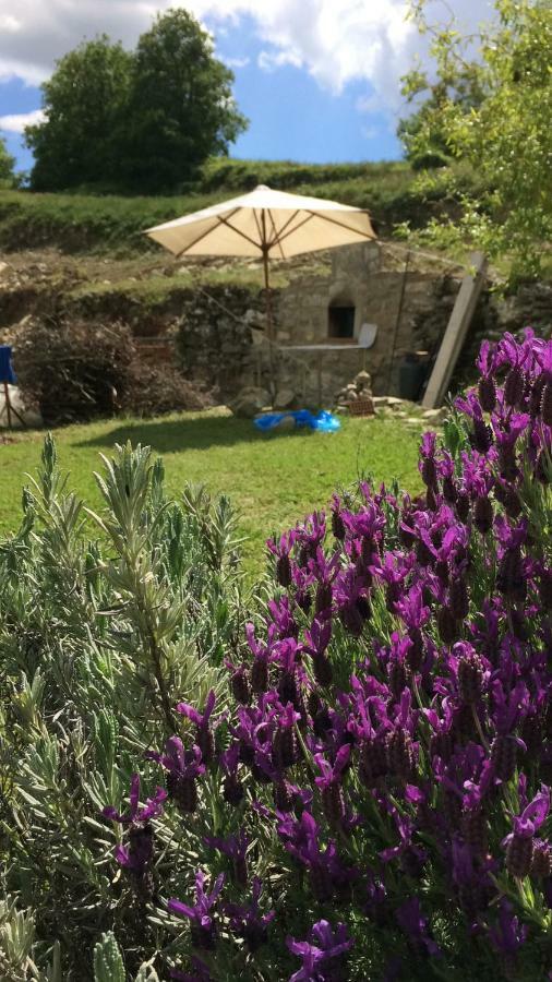 Il Borghetto Di Carra Lägenhet Talla Exteriör bild
